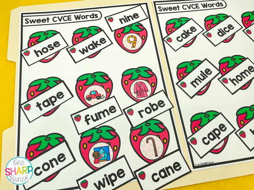 20 Early Finishers Activities, File Folder Games & Morning Work for July | Printable Classroom Resource | One Sharp Bunch