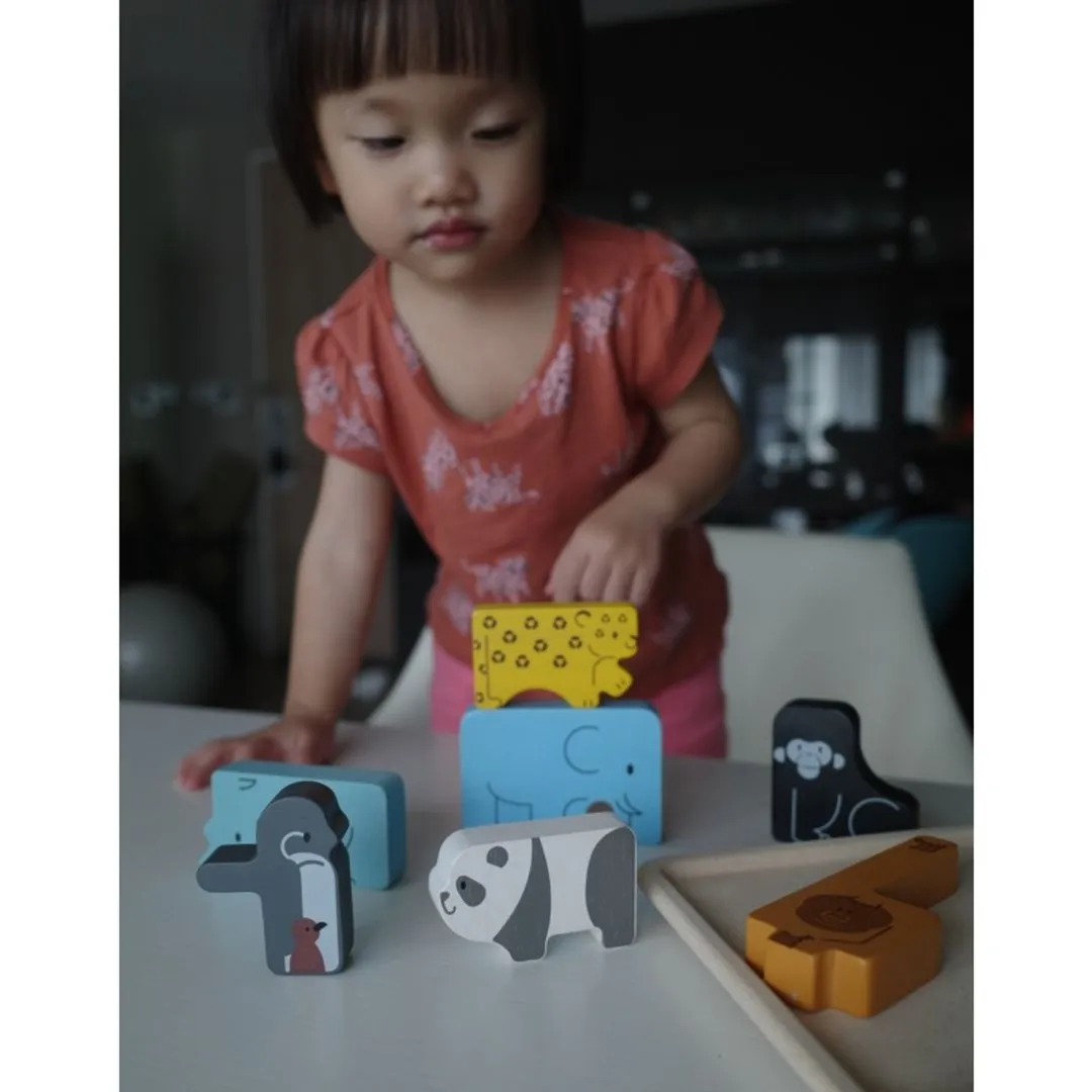 Animal Puzzle Game