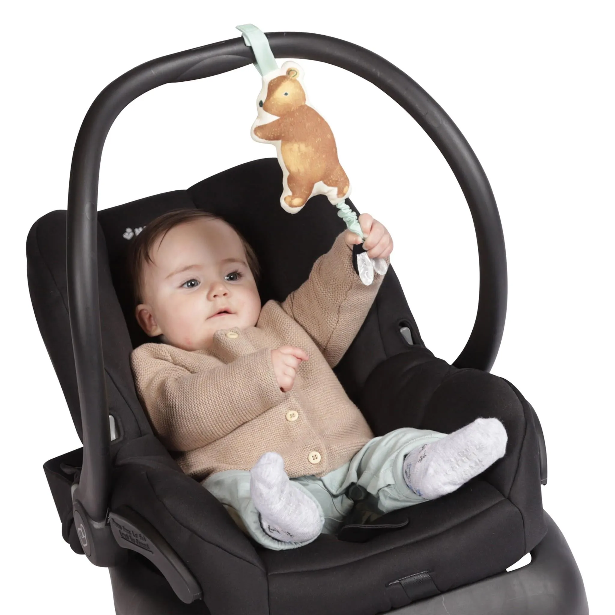 Bumble Bear Take Along Toy