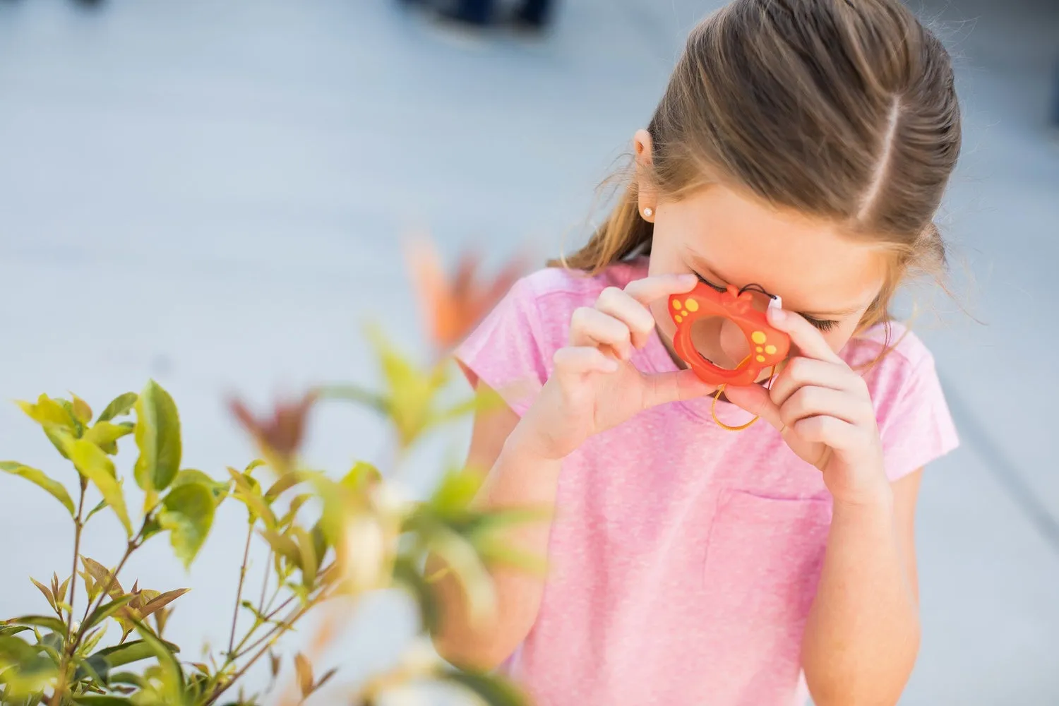 Butterfly Magnifier