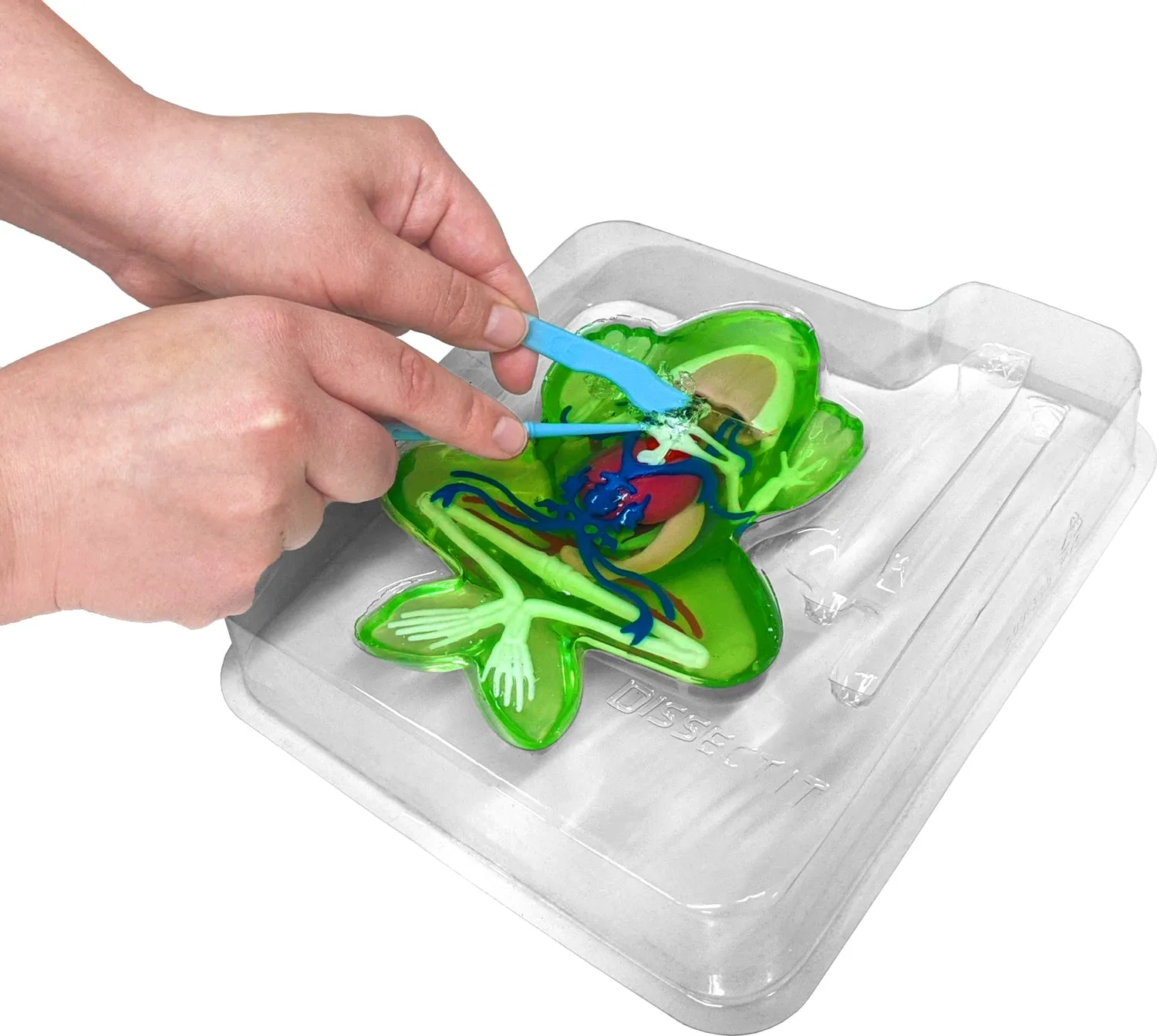 Dissect-It® Frog Lab