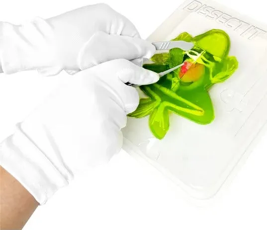 Dissect-It® Frog Lab