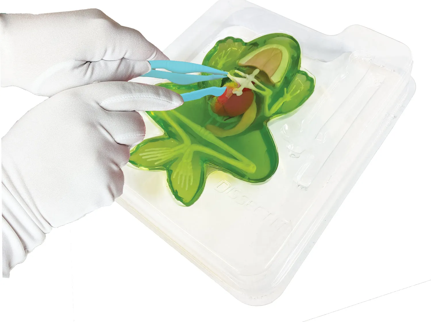 Dissect-It® Frog Lab