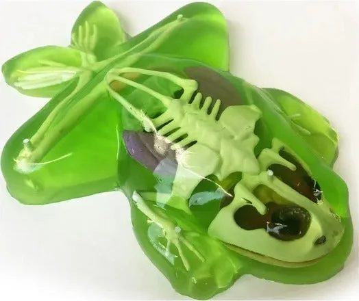 Dissect-It® Frog Lab