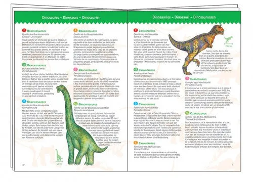 Djeco Observation Dinosaurs 100pc Puzzle