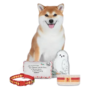Gryffindor Christmas Pet Bundle