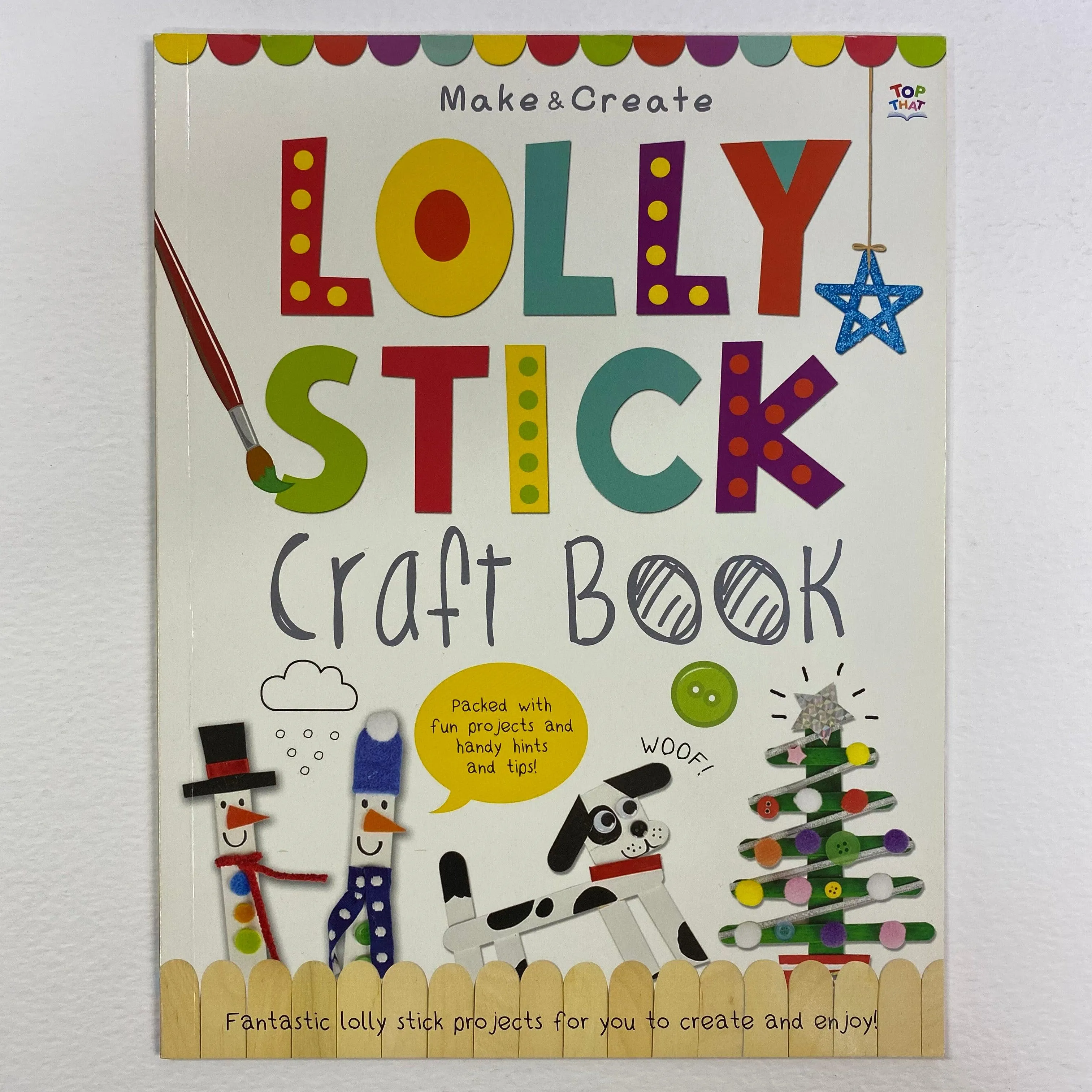 Make & Create  LOLLY STICK Craft book