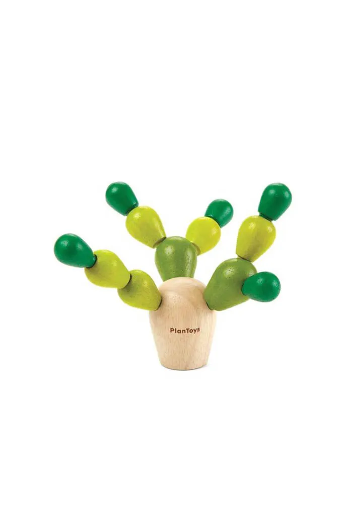 Mini Balancing Cactus