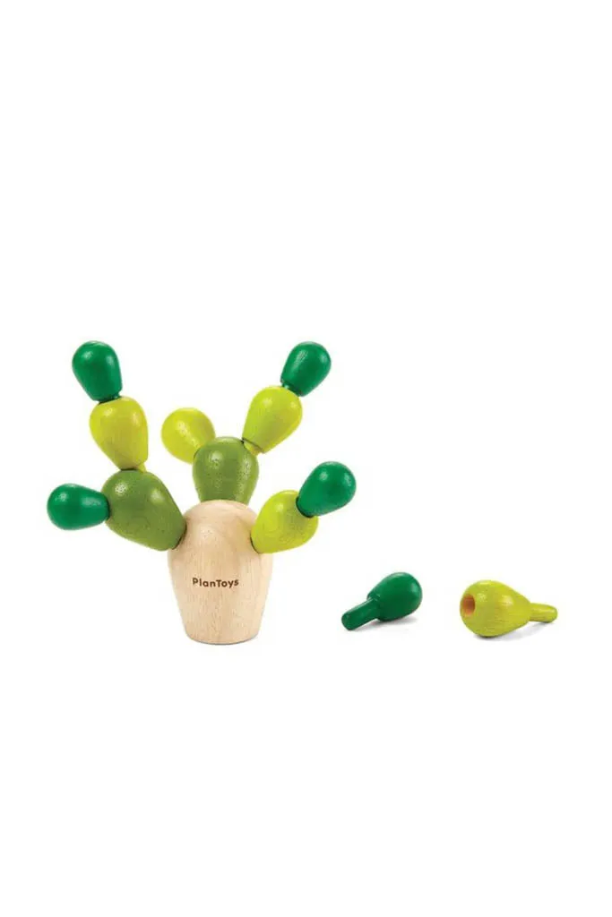 Mini Balancing Cactus